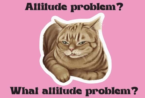 Cattitude