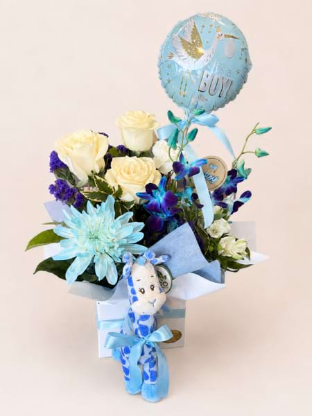 The Baby Boy Bundle
