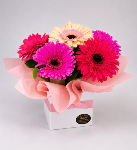 The Gerbera posy box
