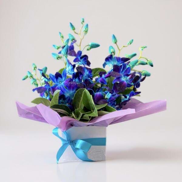 The Orchid Box